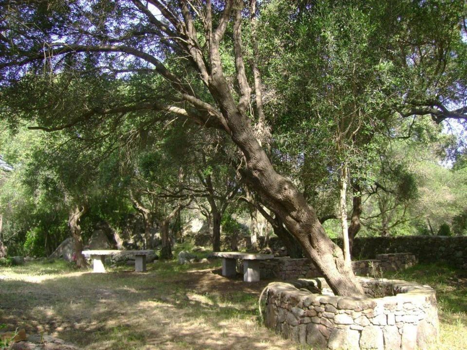 B&B L' Incantu Santa Teresa Gallura Kültér fotó